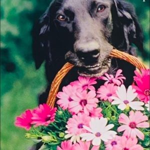 Meet your Posher, Patty